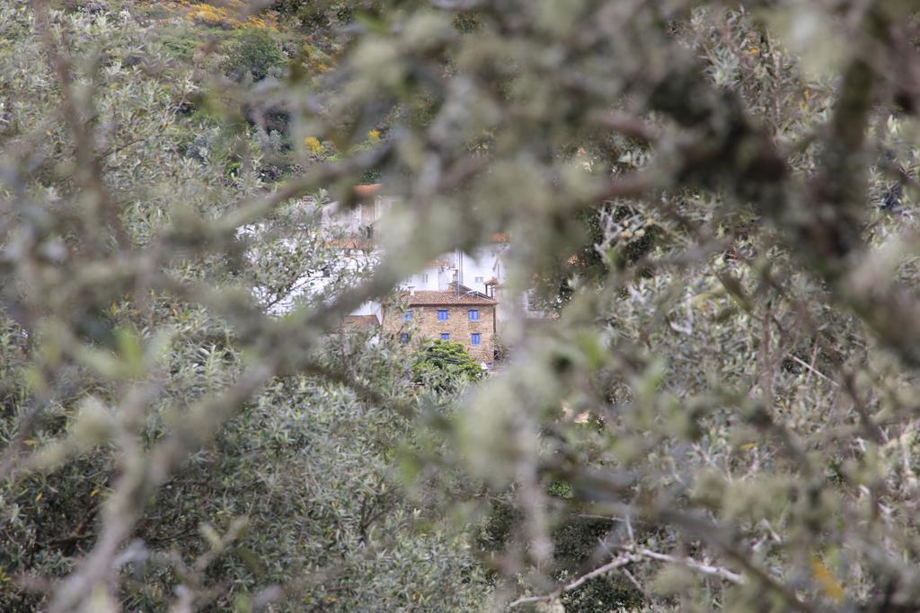 Campus Natura Arganil Zewnętrze zdjęcie